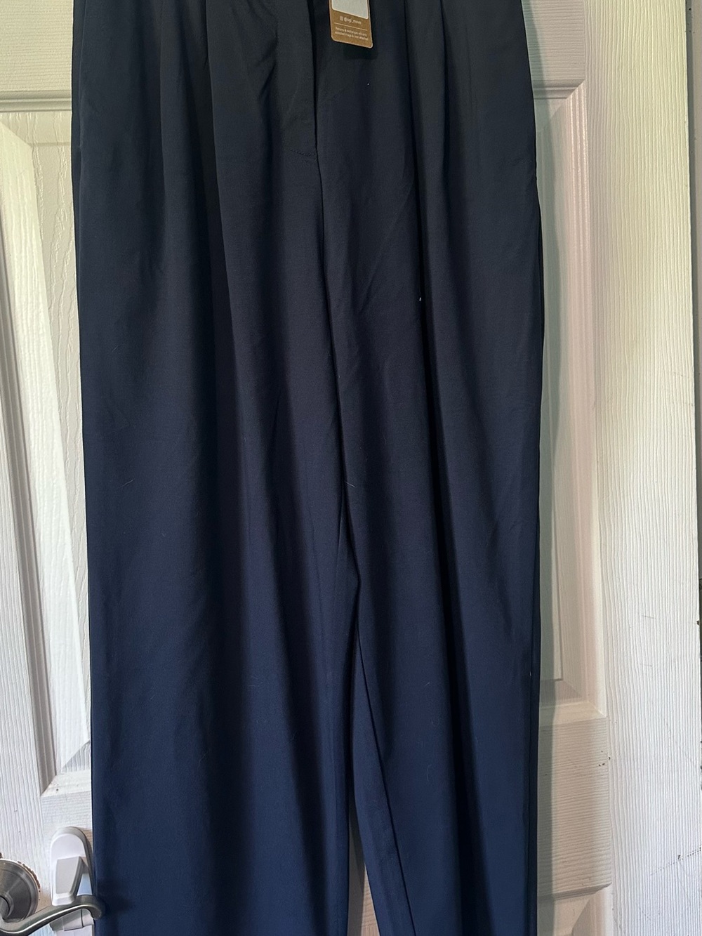OGL Bamboo NWT Women’s Navy Pleated Dress Pants